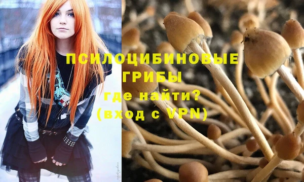 mdpv Покров