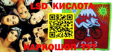стаф Сланцы