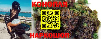 стаф Сланцы