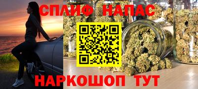 стаф Сланцы