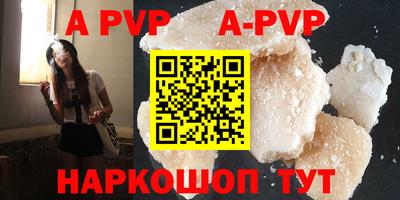стаф Сланцы