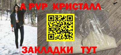 стаф Сланцы