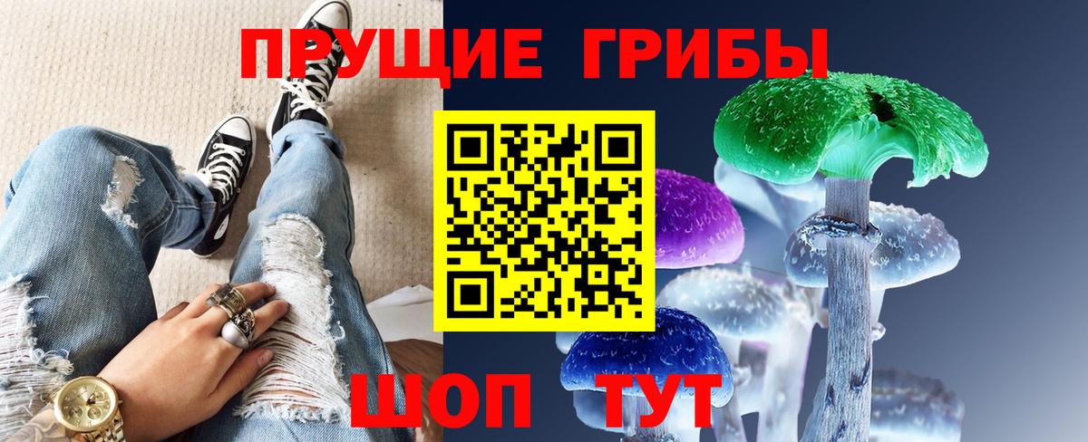 Псилоцибиновые грибы Psilocybine cubensis Светлоград